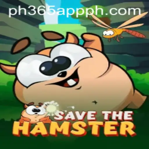 Explore the Exciting World of SavetheHamster: A Thrilling Adventure Awaits